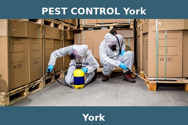 PEST CONTROL York